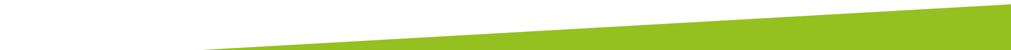 Slant-Graphic-Right-L.Green-