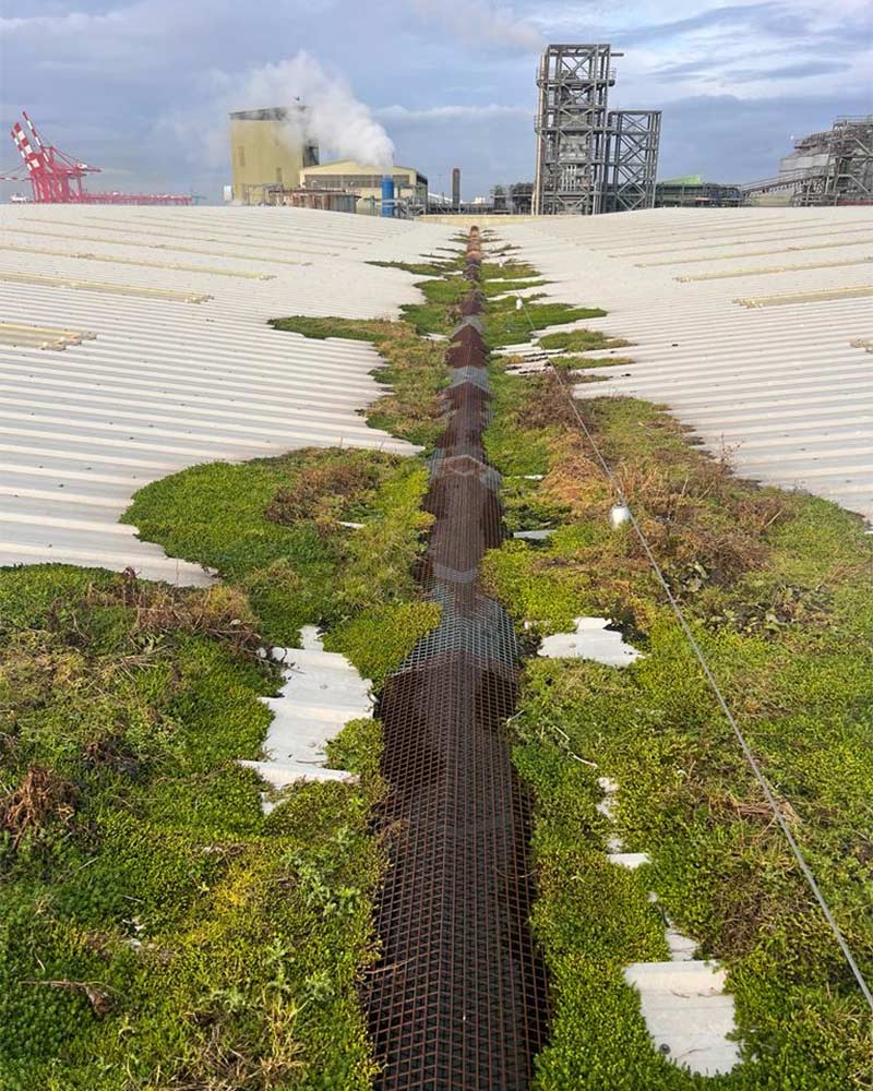 high level gutter cleaning company