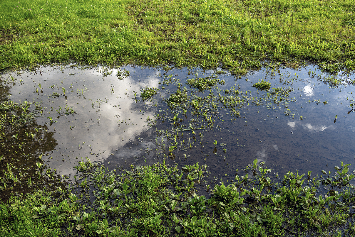 Why do some gardens become waterlogged